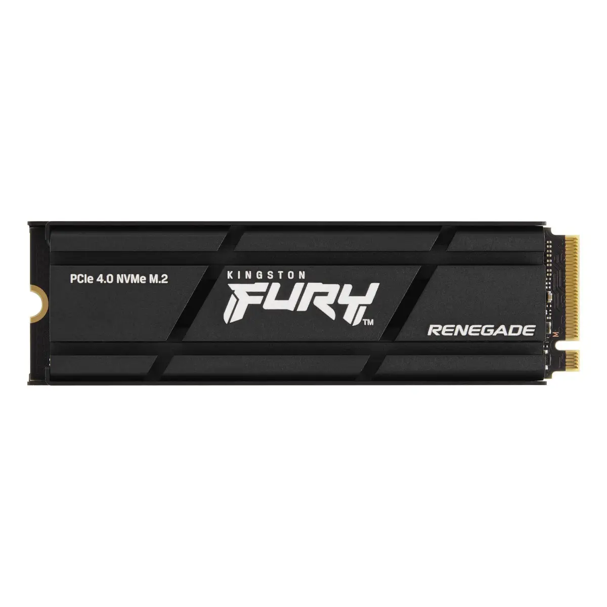 Kingston FURY Renegade SSD
