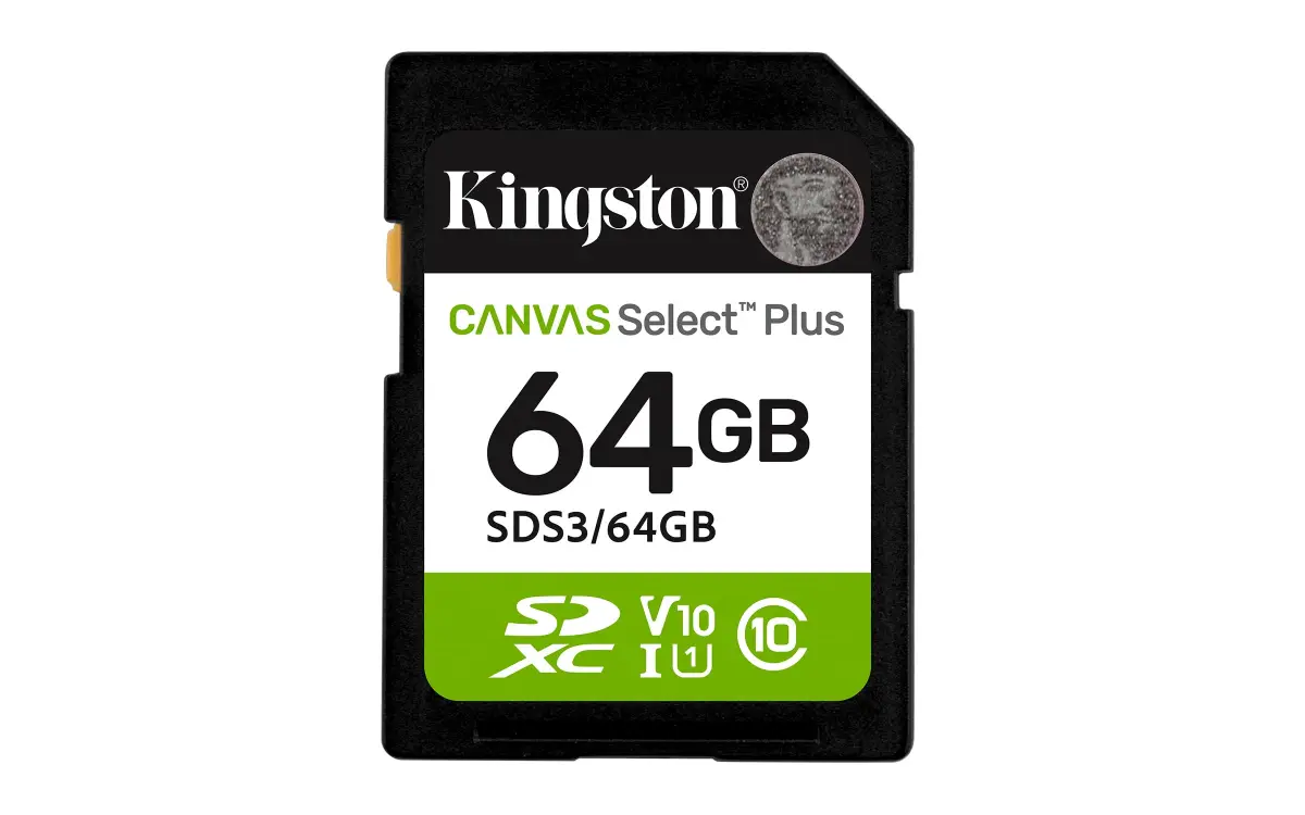 Kingston SD Card Class 10