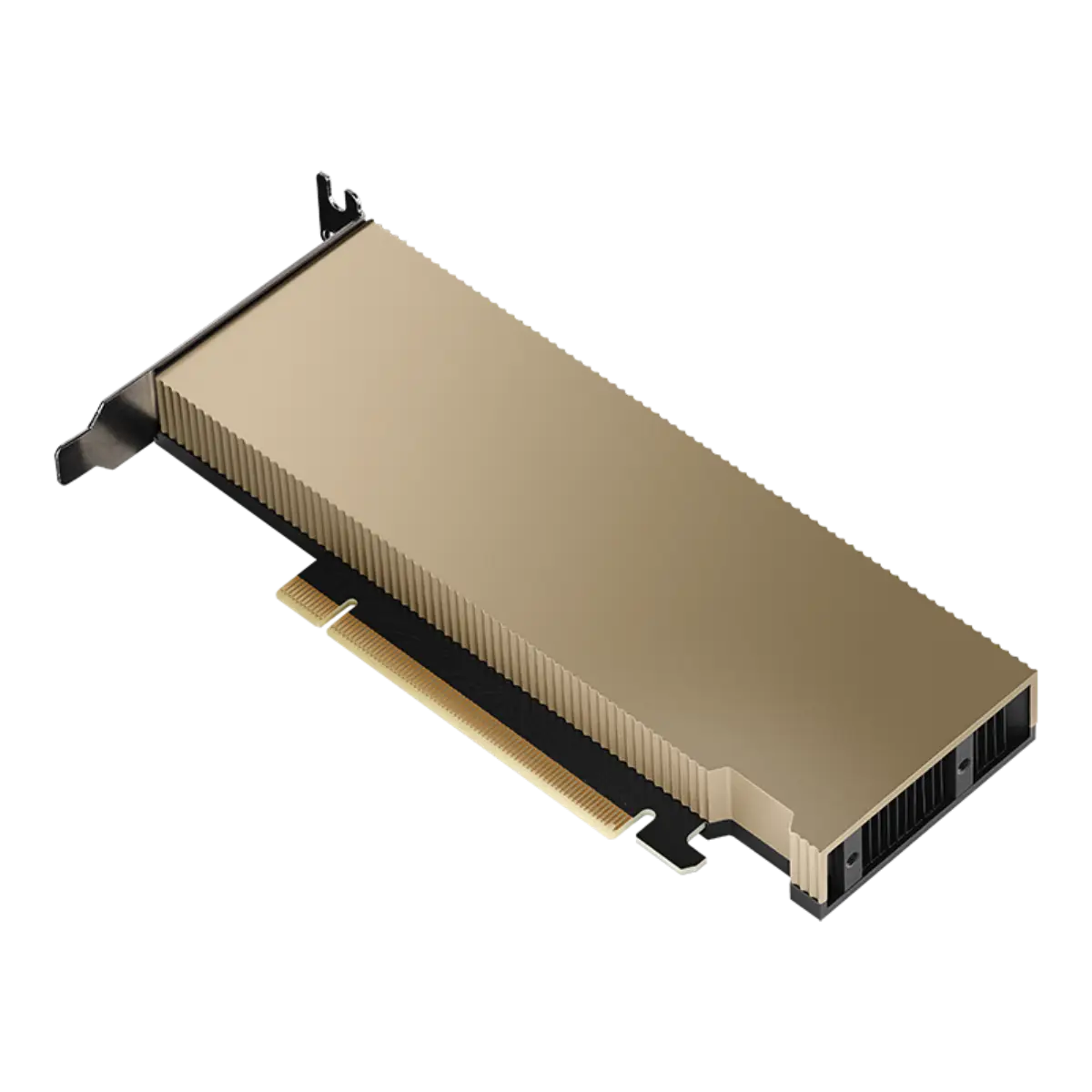 PNY NVIDIA Datacenter GPU