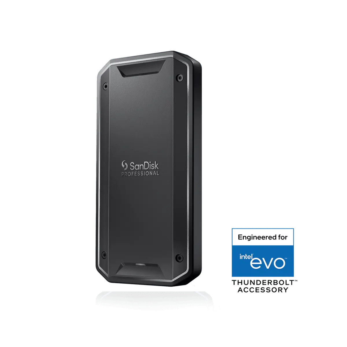 SanDisk Professional
