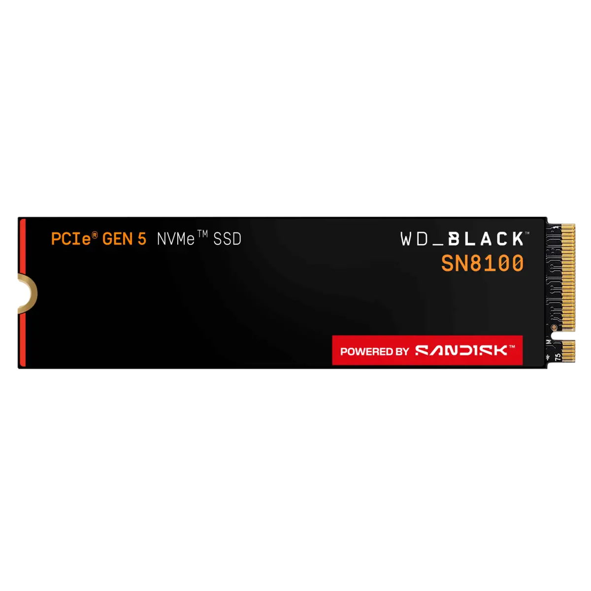 WD WD Black SN8100 NVMe SSD